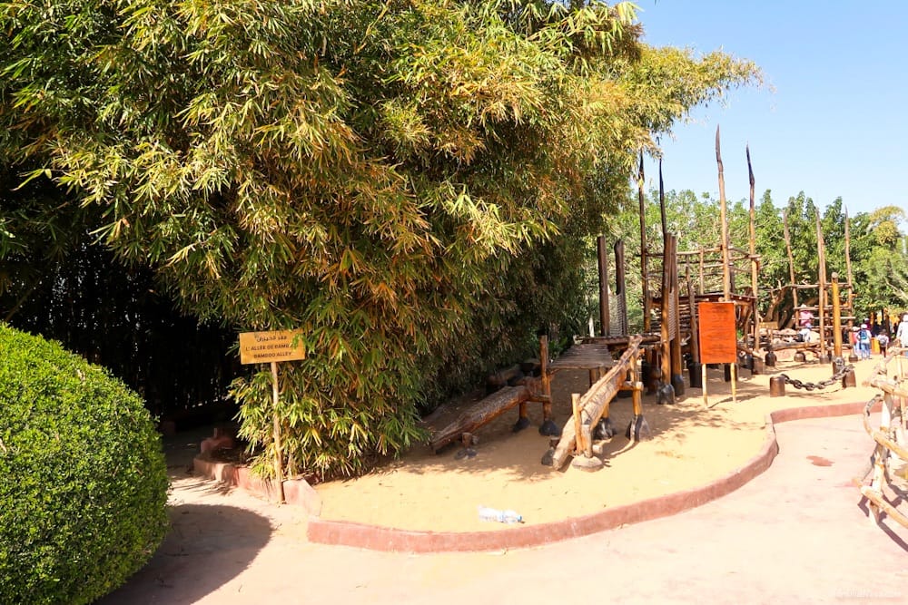 Tagesausflug zum Crocopark Agadir: Faszinierende Krokodile und Hotel-Transfer inklusive 3 crocopark agadir marokko adribluenova 03 adri blue nova
