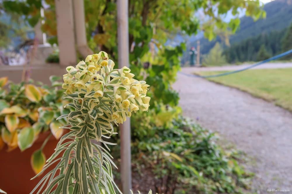 Hinter den Kulissen von Davos: Das Geheimnis des Berghotel Schatzalp 2 schatzalp davos reiseblog adribluenova 2 adri blue nova