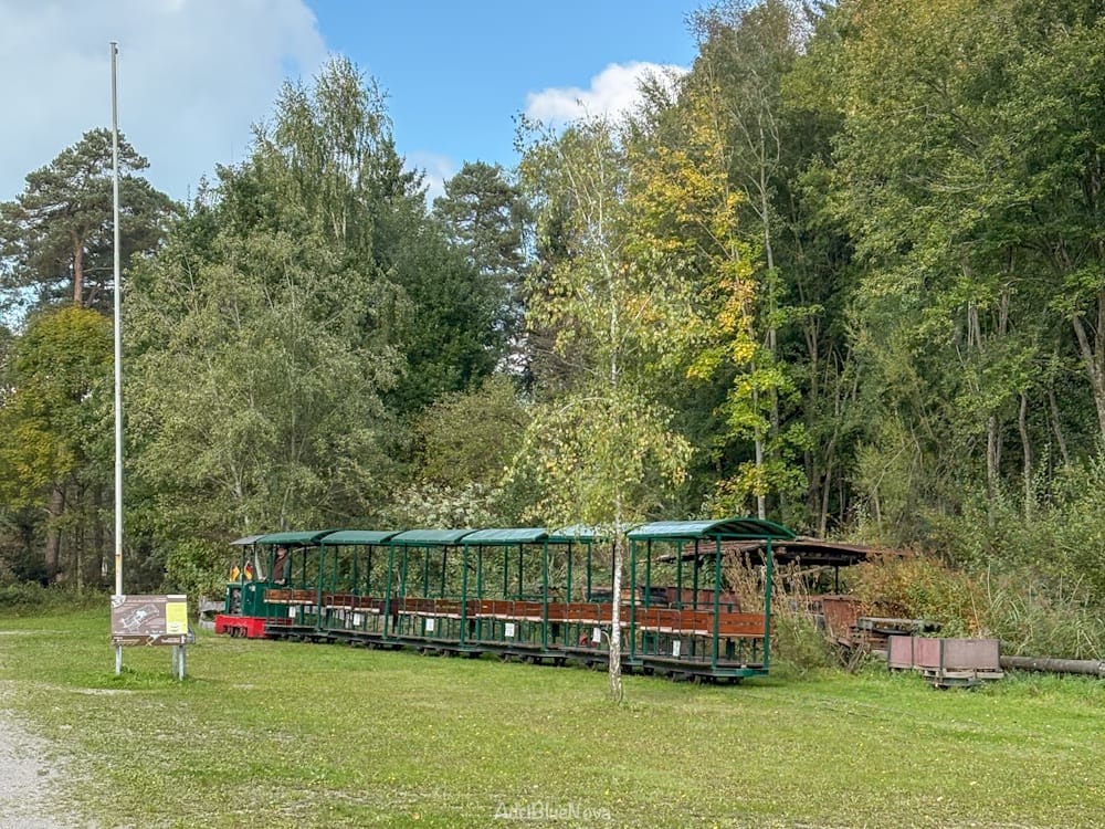1. Mai in Oberschwaben: Diese 5 Wanderungen schaffen auch Kinder problemlos 3 riedbahn wurzacher ried herbst ausflug blog adribluenova adri blue nova